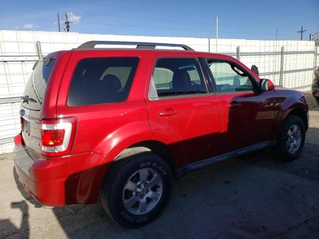 2009 Ford Escape Limited