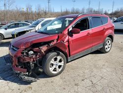 Ford Escape SE salvage cars for sale: 2016 Ford Escape SE