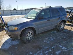 Salvage cars for sale at Appleton, WI auction: 2005 Ford Escape XLT