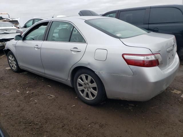 2008 Toyota Camry Hybrid