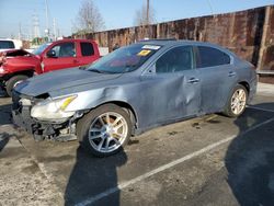 Nissan Maxima s salvage cars for sale: 2010 Nissan Maxima S