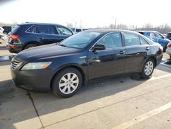 2008 Toyota Camry Hybrid for sale in Louisville, KY