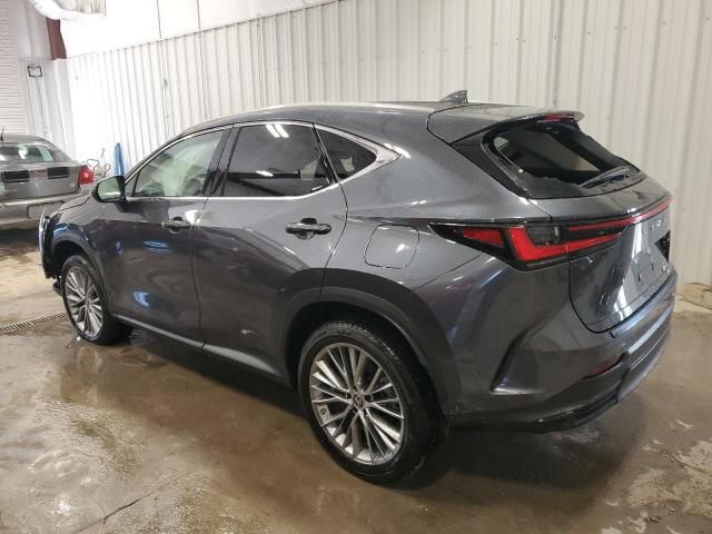 2023 Lexus NX 350