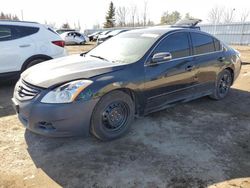 Salvage cars for sale at Bowmanville, ON auction: 2010 Nissan Altima Base