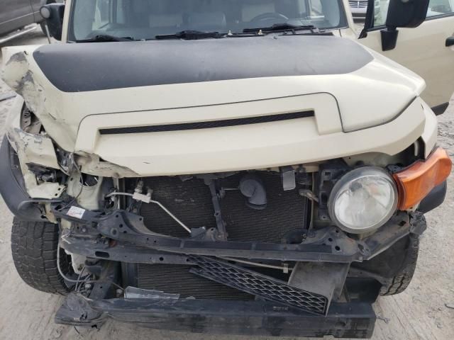 2010 Toyota FJ Cruiser