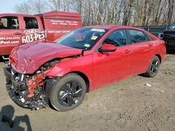 Hyundai Elantra salvage cars for sale: 2021 Hyundai Elantra SEL