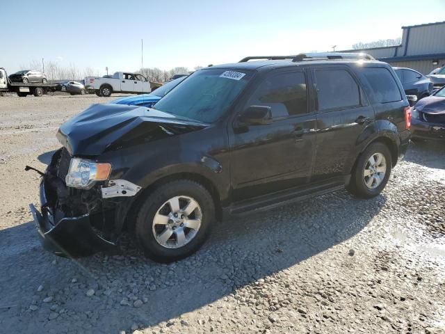 2009 Ford Escape Limited