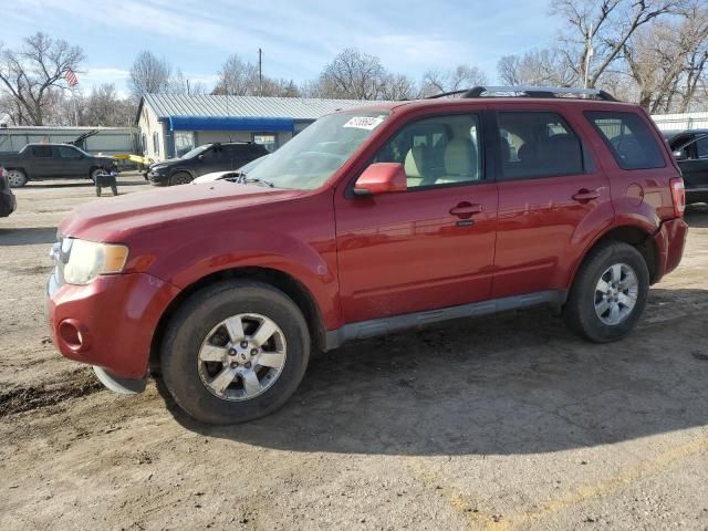 2011 Ford Escape Limited