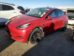 2021 Tesla Model Y for sale in Brighton, CO