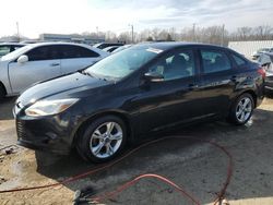 Salvage cars for sale from Copart Louisville, KY: 2013 Ford Focus SE
