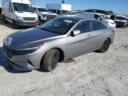 Salvage cars for sale from Copart Walton, KY: 2023 Hyundai Elantra SEL