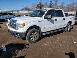 Salvage cars for sale from Copart Davison, MI: 2013 Ford F150 Supercrew