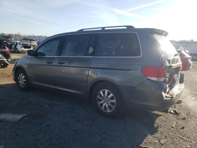 2008 Honda Odyssey EXL