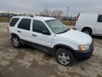 2001 Ford Escape XLT