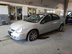 Dodge salvage cars for sale: 2005 Dodge Neon SXT