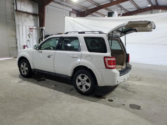 2010 Ford Escape Limited