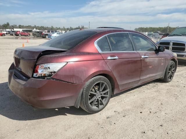 2010 Honda Accord EXL