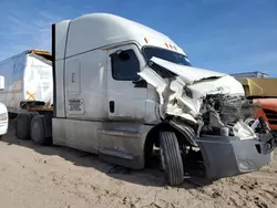 Salvage trucks for sale at Albuquerque, NM auction: 2019 Freightliner Cascadia 126