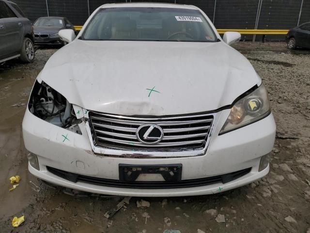 2010 Lexus ES 350