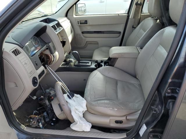 2008 Ford Escape HEV