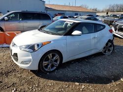 Hyundai Veloster salvage cars for sale: 2017 Hyundai Veloster