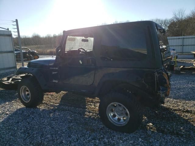 2002 Jeep Wrangler / TJ Sport