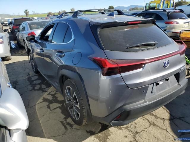 2020 Lexus UX 250H