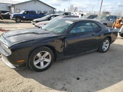 Dodge Challenger salvage cars for sale: 2013 Dodge Challenger SXT