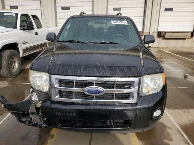 2009 Ford Escape XLT