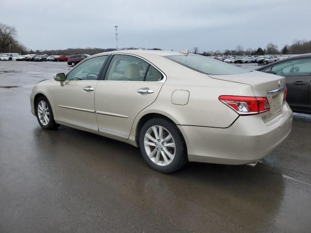 2011 Lexus ES 350