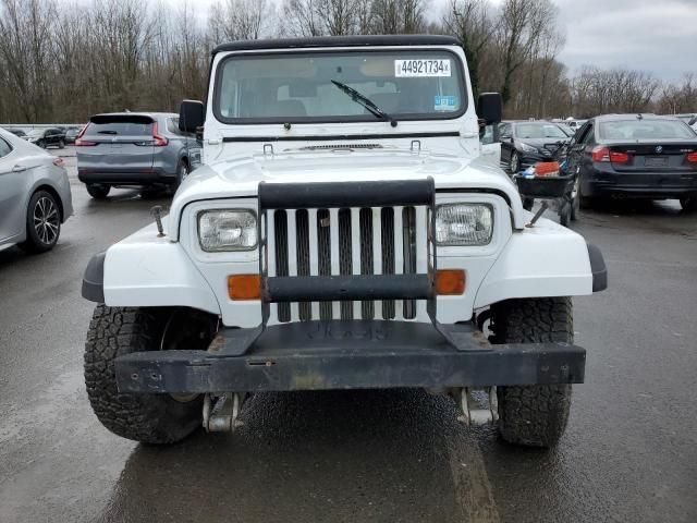 1993 Jeep Wrangler / YJ S