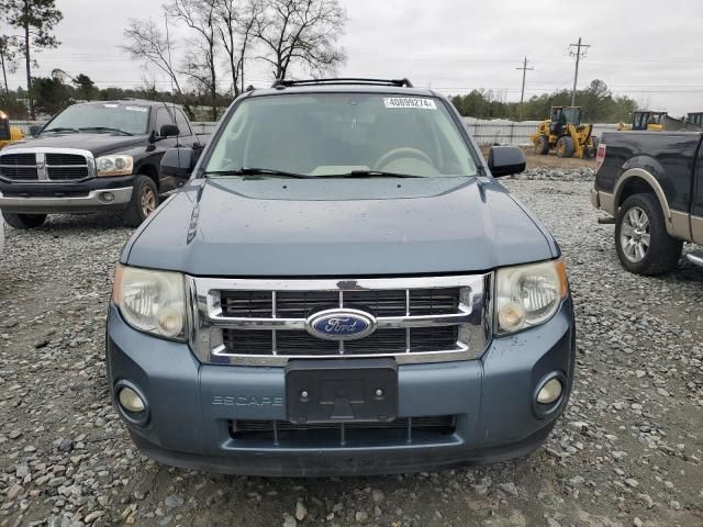 2010 Ford Escape XLT