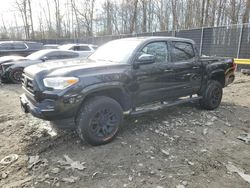 Toyota Tacoma salvage cars for sale: 2021 Toyota Tacoma Double Cab