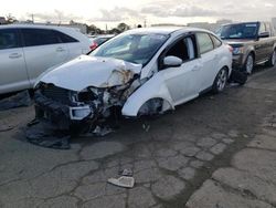 Ford Focus salvage cars for sale: 2014 Ford Focus SE