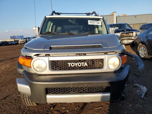 2010 Toyota FJ Cruiser