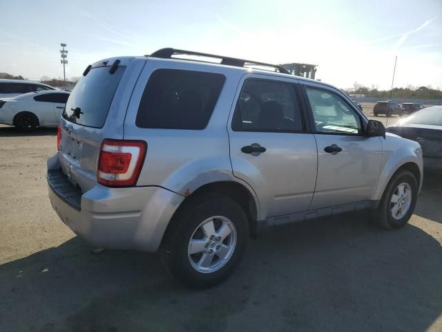 2011 Ford Escape XLS