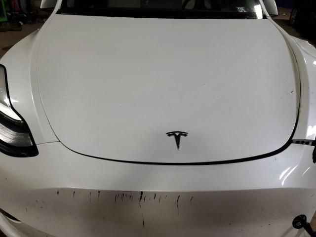 2020 Tesla Model Y