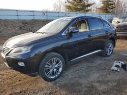 Salvage cars for sale at Davison, MI auction: 2013 Lexus RX 450