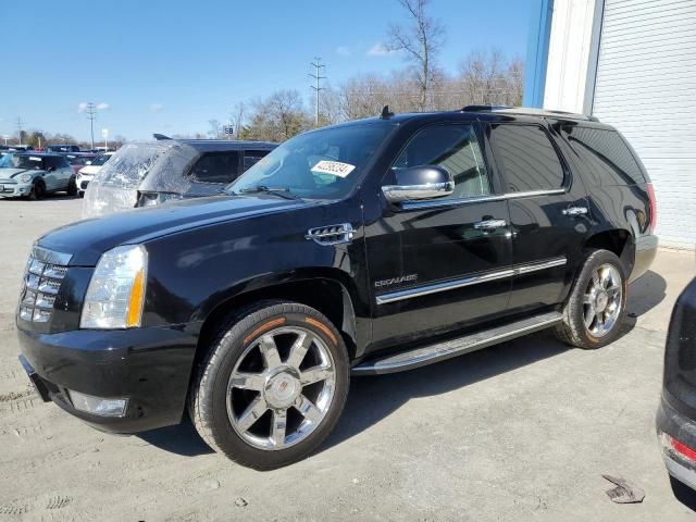 2013 Cadillac Escalade Luxury