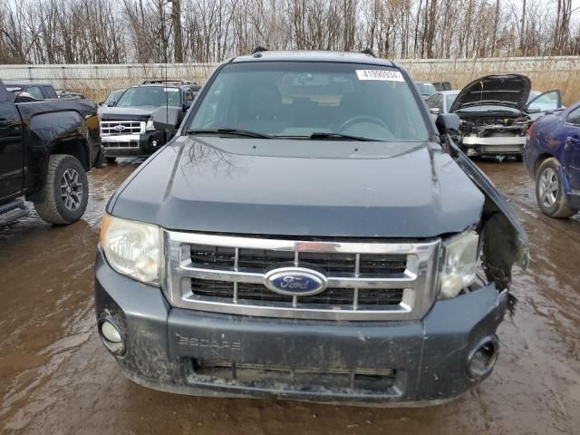 2009 Ford Escape XLT