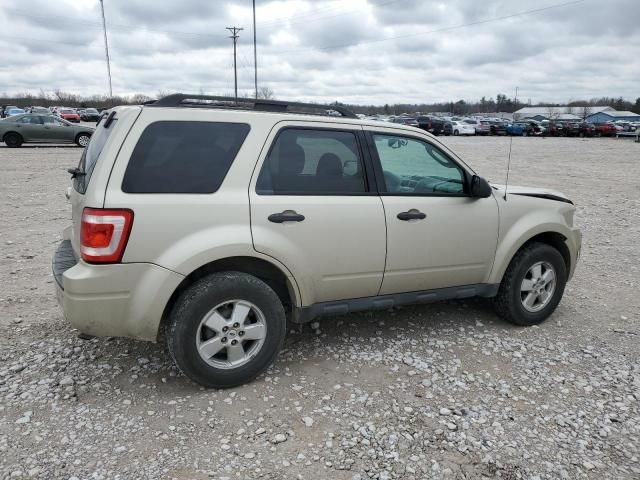 2010 Ford Escape XLT