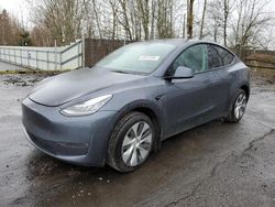 Salvage cars for sale at Portland, OR auction: 2022 Tesla Model Y