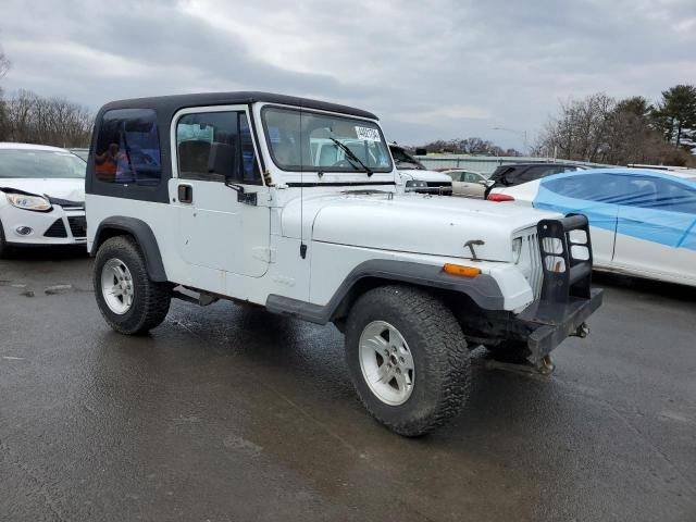 1993 Jeep Wrangler / YJ S