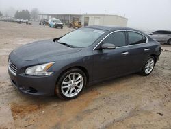 Salvage cars for sale from Copart Tanner, AL: 2011 Nissan Maxima S