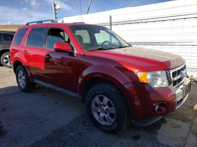 2009 Ford Escape Limited