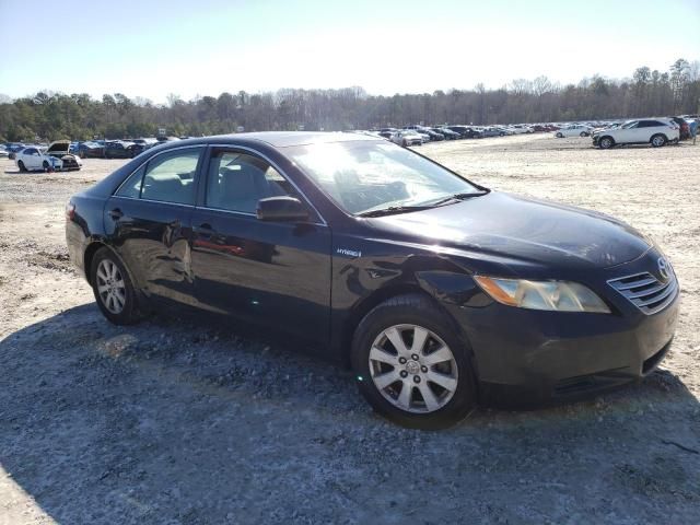 2007 Toyota Camry Hybrid