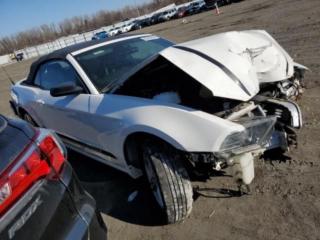 2013 Ford Mustang