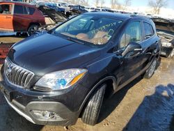 Salvage cars for sale at Bridgeton, MO auction: 2016 Buick Encore