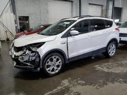 Vehiculos salvage en venta de Copart Ham Lake, MN: 2013 Ford Escape SE