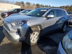 Toyota salvage cars for sale: 2019 Toyota Rav4 XLE